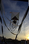EUROCUP STACK 2011 CERVIA00156
